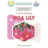  Cách Trồng Hoa Lily 