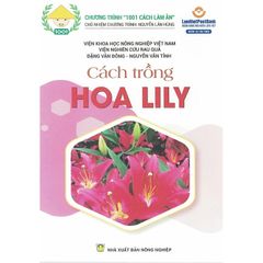 Cách Trồng Hoa Lily