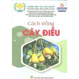  Cách Trồng Cây Điều 
