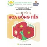  Cách Trồng Hoa Đồng Tiền 