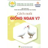  Cách Nuôi Giống Ngan V7 