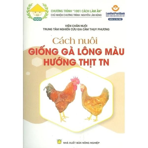 Cách Nuôi Giống Gà Lông Màu Hướng Thịt TN