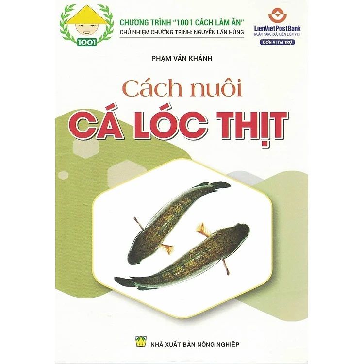  Cách Nuôi Cá Lóc Thịt 