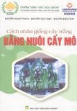  Cách Nhân Giống Cây Trồng Bằng Nuôi Cấy Mô 