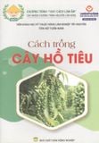  Cách Trồng Cây Hồ Tiêu 