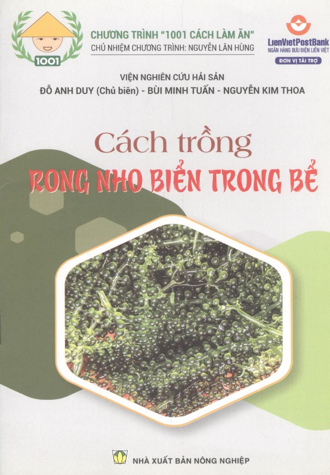  Cách Trồng Rong Nho Biển Trong Bể 