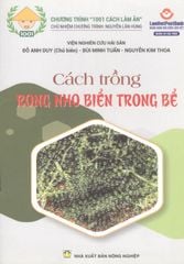 Cách Trồng Rong Nho Biển Trong Bể