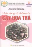  Cách Trồng Và Chăm Sóc Cây Hoa Trà 