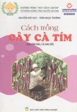  Cách Trồng Cây Cà Tím 