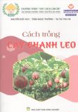  Cách Trồng Cây Chanh Leo 