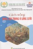  Cách Trồng Rong Sụn Trong Ô Lồng Lưới 