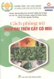  Cách Phòng Trừ Dịch Hại Trên Cây Có Múi 