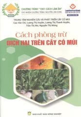 Cách Phòng Trừ Dịch Hại Trên Cây Có Múi