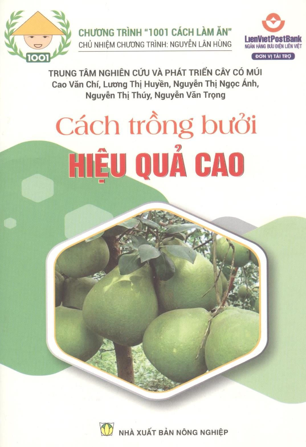  Cách Trồng Bưởi Hiệu Quả Cao 