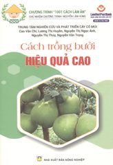 Cách Trồng Bưởi Hiệu Quả Cao