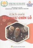  Cách Nuôi Bào Ngư Chín Lỗ 