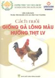  Cách Nuôi Giống Gà Lông Màu Hướng Thịt LV 
