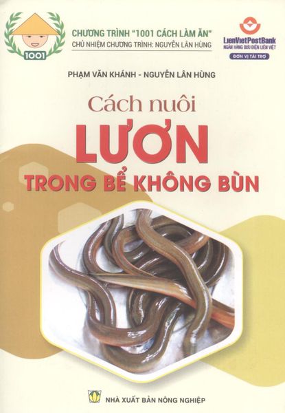 Cách Nuôi Lươn Trong Bể Không Bùn - Bún