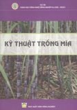  Kỹ Thuật Trồng Mía 