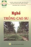  Nghề Trồng Cao Su 