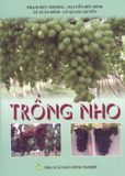  Trồng Nho 
