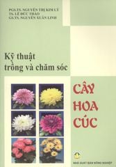 Kỹ Thuật Trồng Và Chăm Sóc Cây Hoa Cúc