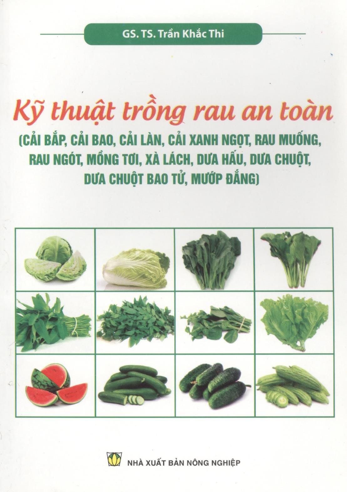  Kỹ Thuật Trồng Rau An Toàn 