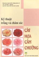 Kỹ Thuật Trồng Và Chăm Sóc Cây Hoa Cẩm Chướng
