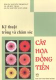  Kỹ Thuật Trồng Và Chăm Sóc Cây Hoa Đồng Tiền 