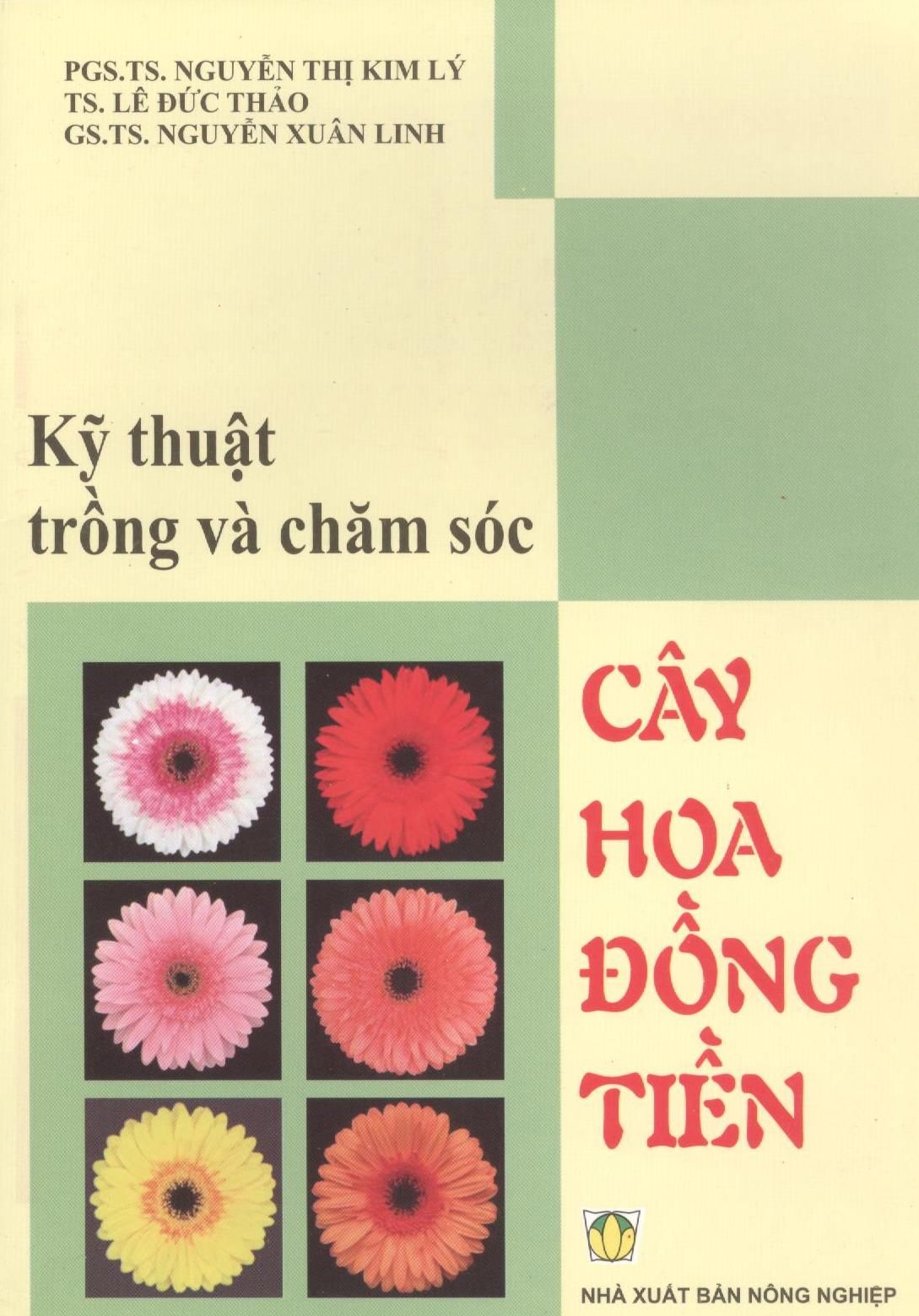  Kỹ Thuật Trồng Và Chăm Sóc Cây Hoa Đồng Tiền 