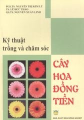 Kỹ Thuật Trồng Và Chăm Sóc Cây Hoa Đồng Tiền