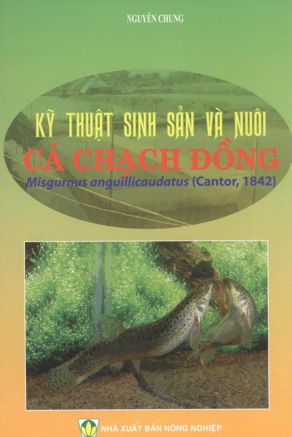  Kỹ Thuật Sinh Sản Và Nuôi Cá Chạch Đồng 