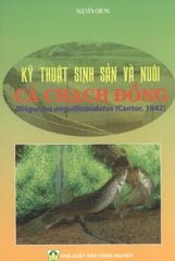 Kỹ Thuật Sinh Sản Và Nuôi Cá Chạch Đồng