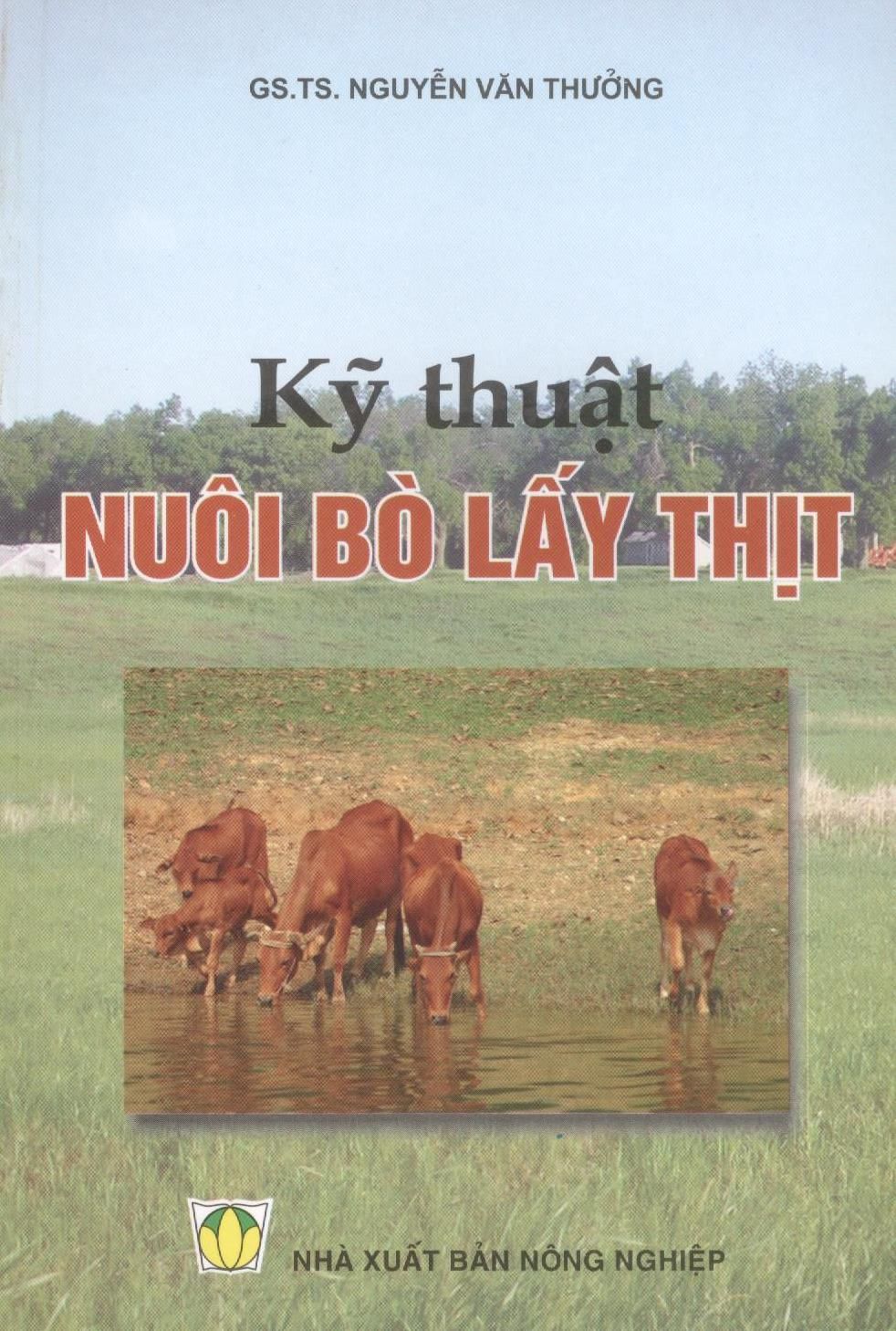  Kỹ Thuật Nuôi Bò Lấy Thịt 