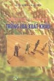  Những Điều Cần Biết Về Trồng Lúa Xuất Khẩu 
