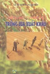 Những Điều Cần Biết Về Trồng Lúa Xuất Khẩu