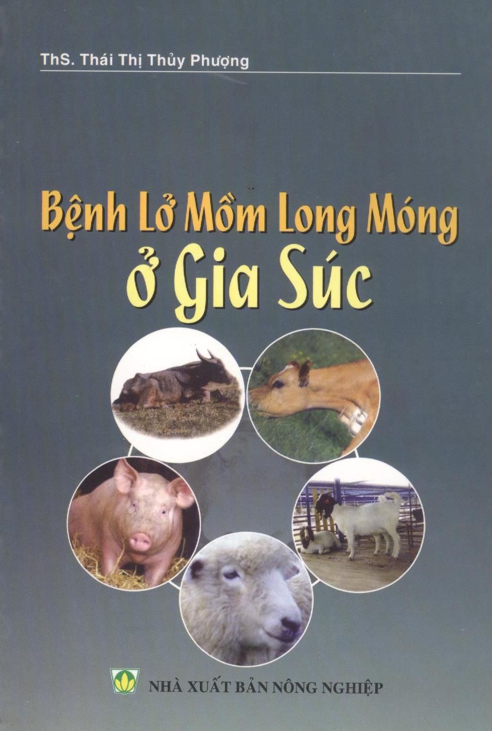  Bệnh Lở Mồm Long Móng Ở Gia Su 