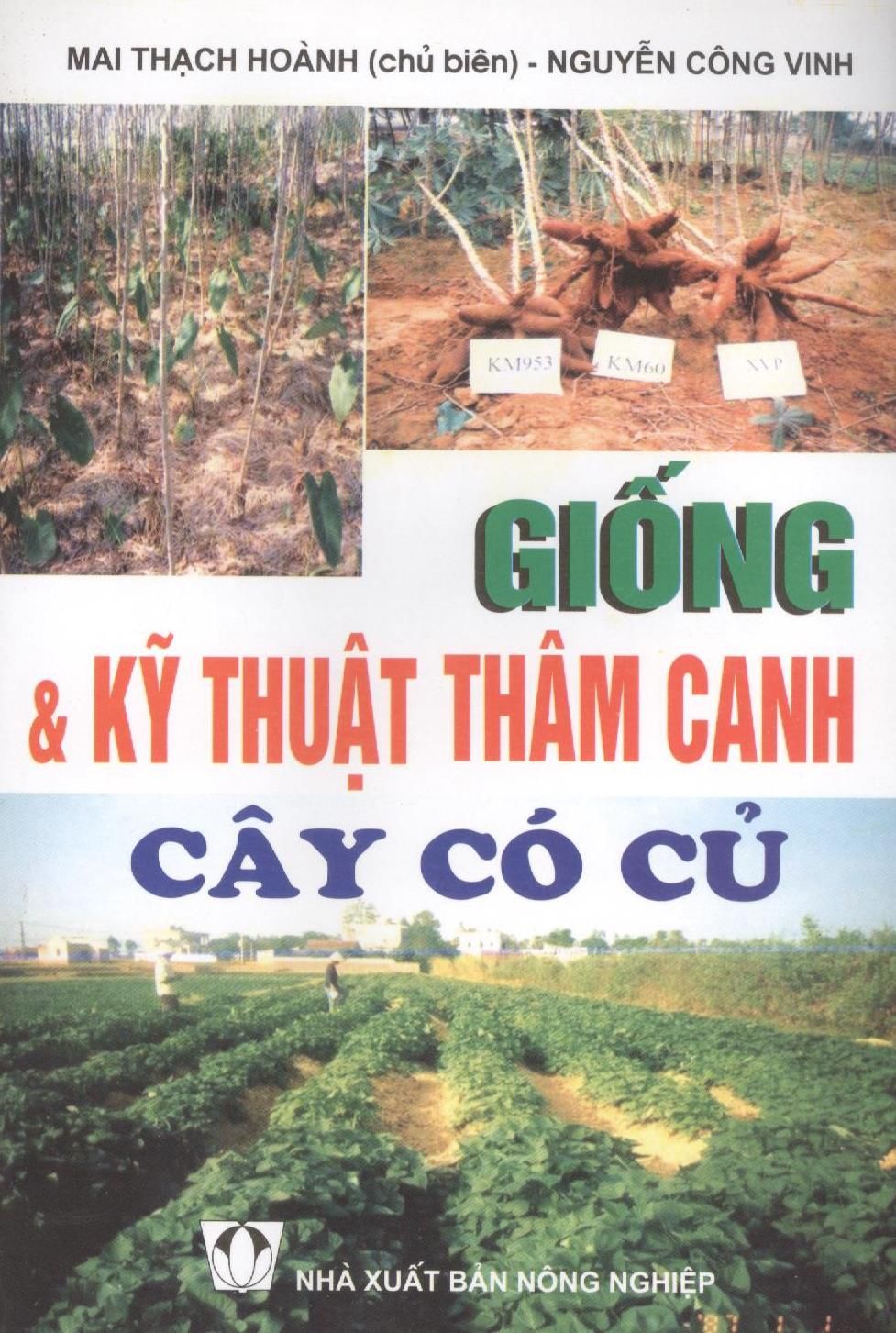  Giống & Kỹ Thuật Thâm Canh Cây Có Củ 