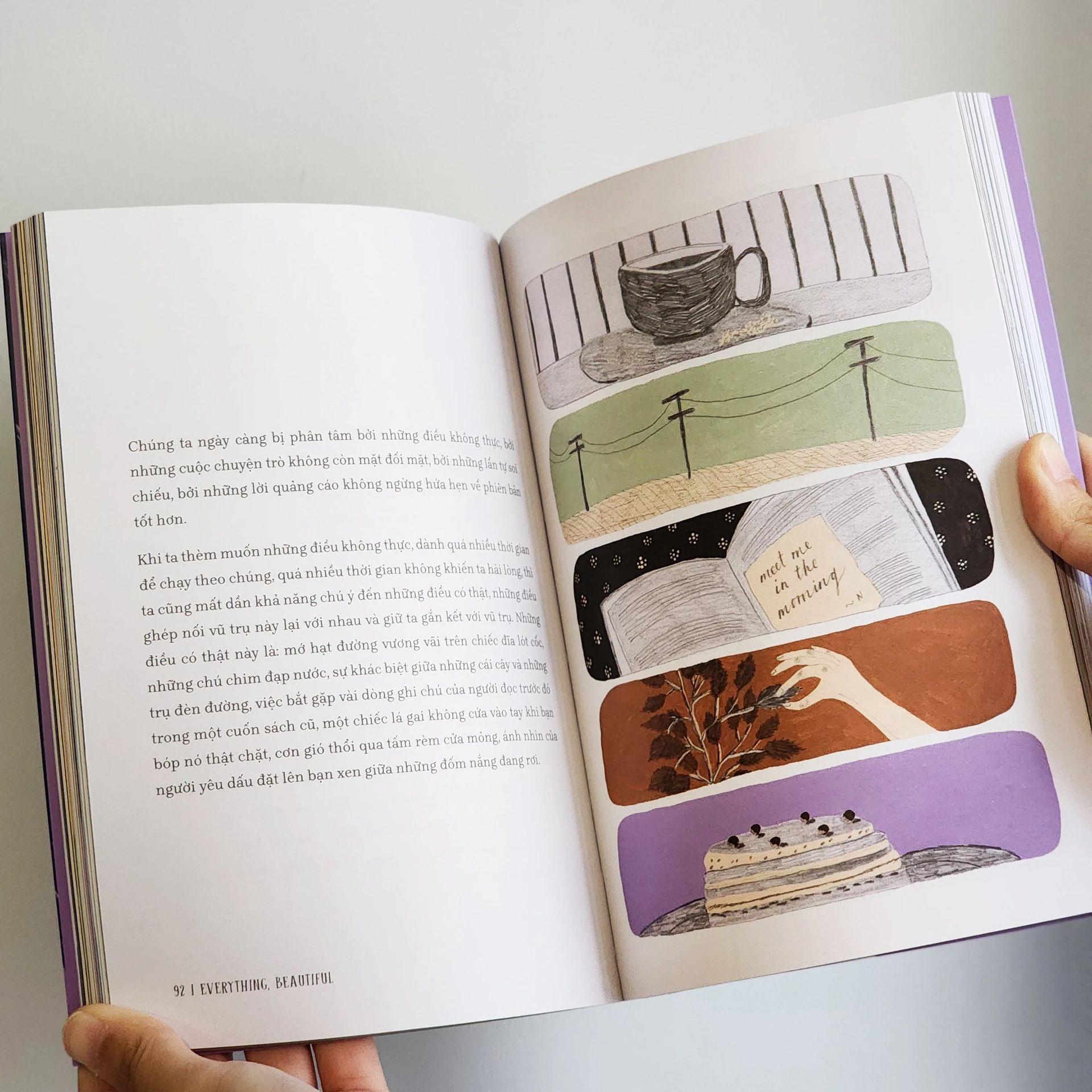  Everything, Beautiful - Tìm Về Và Kết Nối Với Vẻ Đẹp Tiềm Ẩn Quanh Ta 