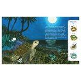  Tuli Tuli Kể Chuyện Nhà Ai Ở Đâu - Nhà Rùa Dưới Đại Dương 