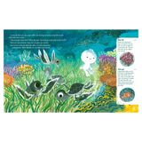  Tuli Tuli Kể Chuyện Nhà Ai Ở Đâu - Nhà Rùa Dưới Đại Dương 