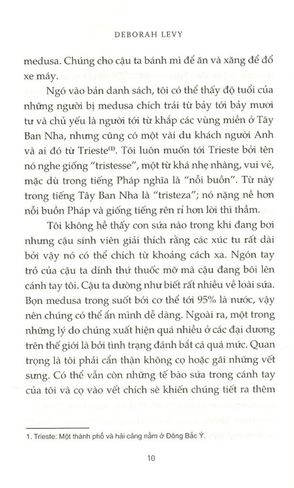  Sữa Nóng 