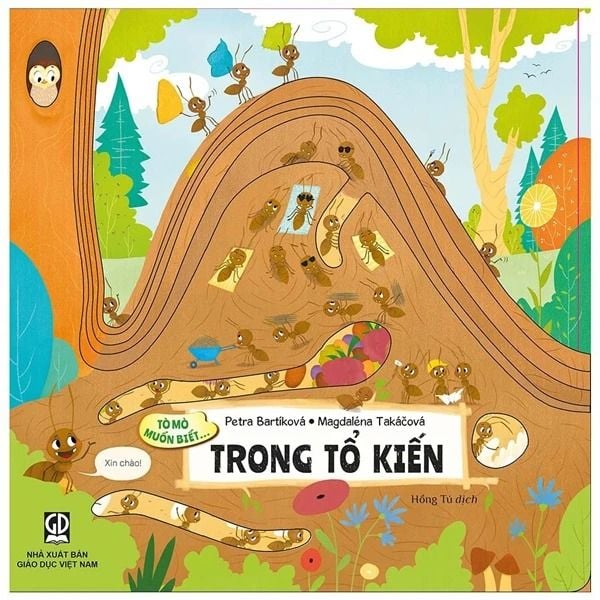  Tò Mò Muốn Biết… Trong Tổ Kiến 