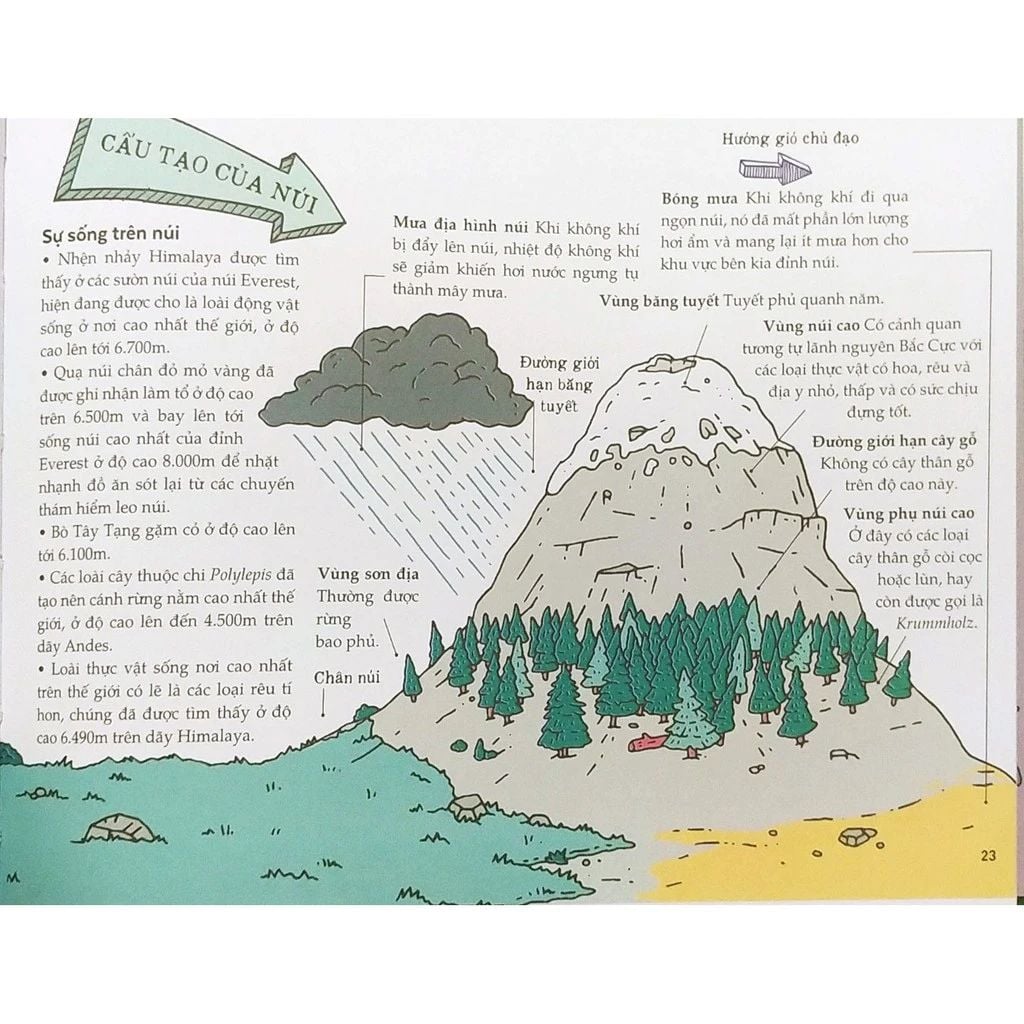  Thiên Nhiên Kỳ Thú 