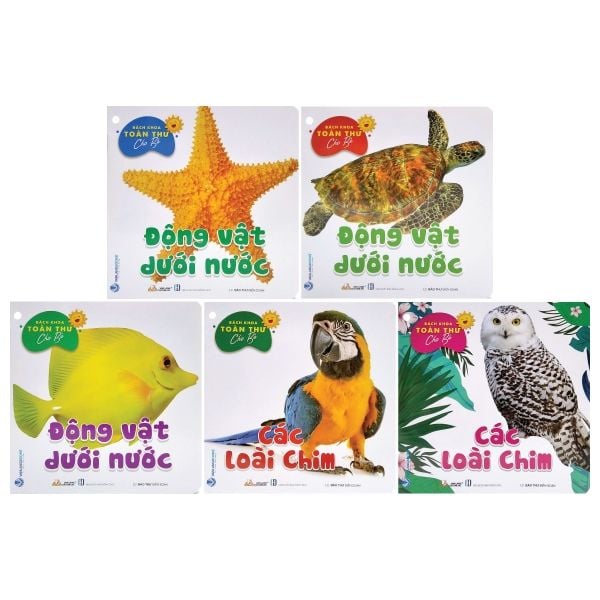 Bách Khoa Toàn Thư Cho Bé - Động Vật Dưới Nước (Bộ 5C)