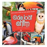  Bách Khoa Toàn Thư Nhỏ - Các Loài Chim 