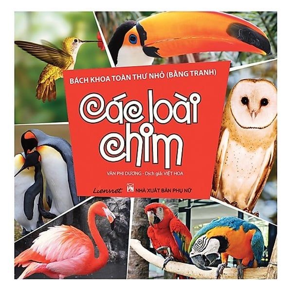  Bách Khoa Toàn Thư Nhỏ - Các Loài Chim 