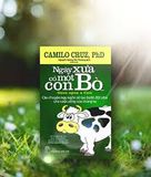  Ngày Xưa Có Một Con Bò 