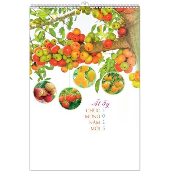 Lịch Lò Xo 7 tờ 2025 - TRÁI CÂY BỐN MÙA ( MT29 )