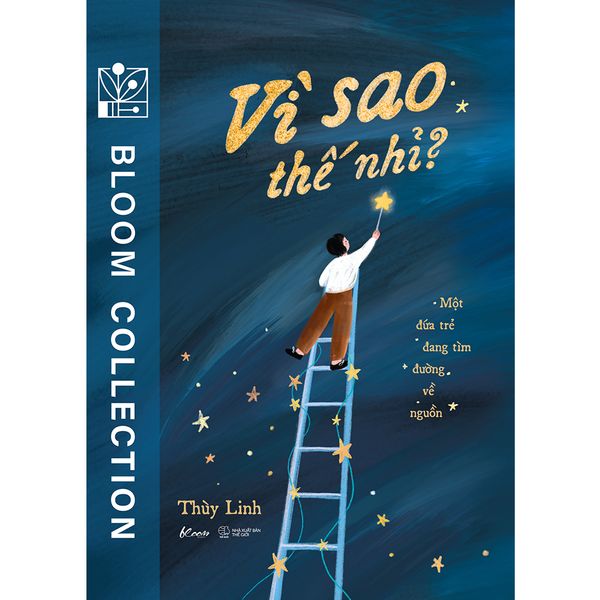 Vì Sao Thế Nhỉ? - Một Đứa Trẻ Đang Tìm Đường Về Nguồn - VI NA